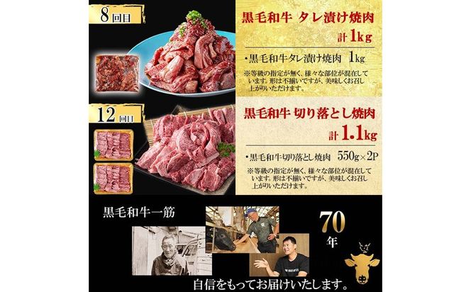 【定期便全12回】超豪華！黒毛和牛堪能贅沢定期便！(総重量19kg超) t0365-001