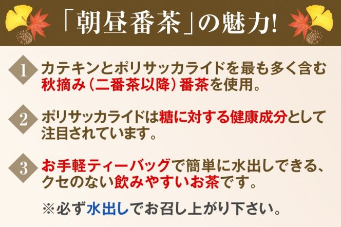 宇治・水出し朝昼番茶ティーバッグ 10ｇ×20袋入×6本　クールサーバー付　〈お茶 茶 煎茶 緑茶 番茶 秋摘み カテキン 水出し ティーバッグ ティーパック クールサーバー 飲料 健康 加工食品〉 