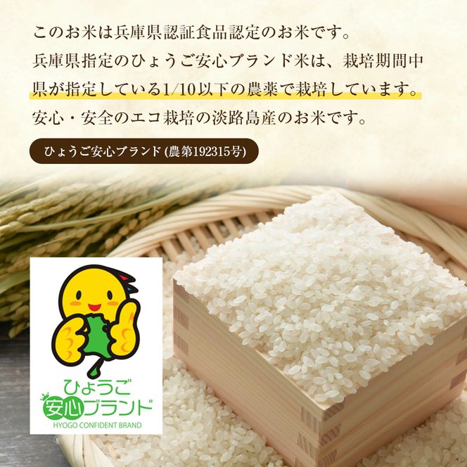 野添農園のコシヒカリ 5kg コシヒカリ