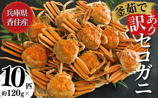 yɌzyZRKj 󂠂i LY Ȃǁj120g×10C Ⓚzq Oq JjX Z i 䥂 Ⓚ Yn NxQ Y  Jj I {C YCKj t  XKj  ߂ eKj lC  蕨 Mtg  