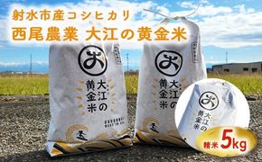 大江の黄金米 コシヒカリ5kg ｜ 射水市 西尾農業 黄金米 射水の美味しいお米 精米 ※離島への配送不可