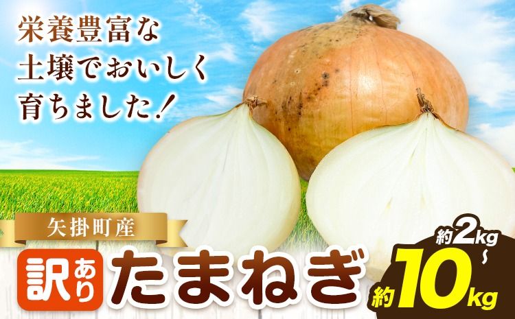 矢掛町産 訳あり 玉ねぎ たまねぎ 選べる内容量 大きさ不揃い 訳ありたまねぎ[5月末〜7月中旬頃に出荷予定] 約 2kg or 約 5kg or 約 10kg 野菜 岡山県 矢掛町---ofn_ytn_e57_25_4500_2---