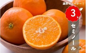 【先行予約】橋本農園の セミノール 3kg 【2027年3月中旬から4月中旬に順次発送】 / セミノール 柑橘 フルーツ 果物 くだもの 先行予約【mht016】