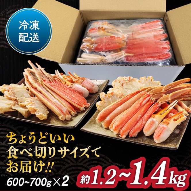 22-158 カニ鍋セット｜生食可ズワイガニ剥き身1.2kg～1.4kg 