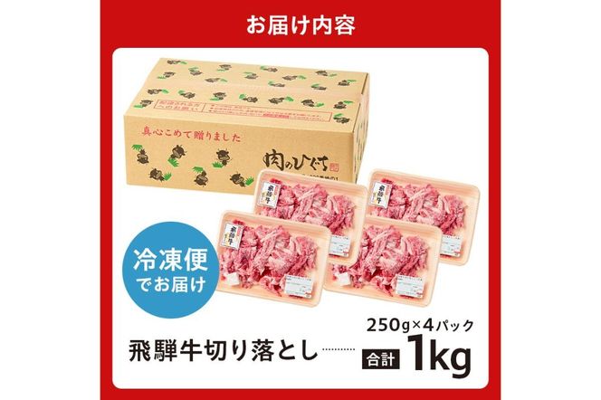 飛騨牛切り落とし1Kg（250ｇ×4）【0016-019】