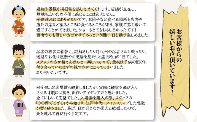 登別伊達時代村 入村チケット 大人1名