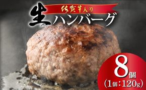 《数量限定》佐賀牛入りハンバーグ 【120g×8個】