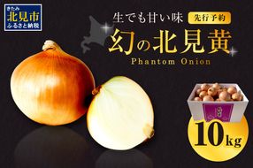  【予約：2026年9月下旬から順次発送】幻の北見黄 北海道北見産 10kg ( 野菜 たまねぎ 玉ねぎ タマネギ Lサイズ 10キロ 詰合せ )【002-0004-2026】
