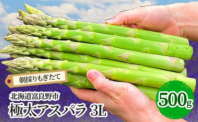 【2026年春発送】極太 グリーンアスパラ 3Lサイズ 500g 富良野産 野菜 アスパラガス