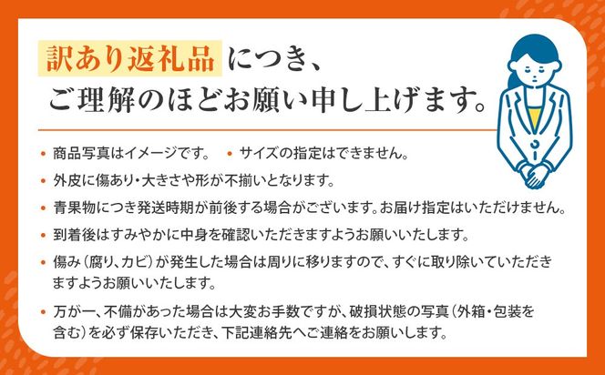 不知火(しらぬい) オレンジ みかん 訳あり 10kg サイズ混合 CE012