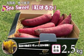 【先行予約】大洗産 さつまいも 紅はるか 2.5kg （8本前後） 「Sea Sweet」 長期熟成 茨城県産 サツマイモ 土付き 生芋 芋 さつま芋 薩摩芋 甘藷 べにはるか