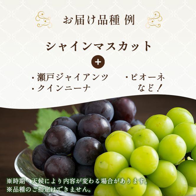 9月限定｜採れたて旬のぶどう 食べ比べ 約4kg（4～5房）シャインマスカット入り セット 詰め合わせ 産地直送 フルーツ 兵庫県 加西市