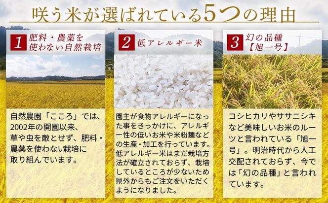 ★令和6年産・新米★＜「咲う米」（わらう米・自家採取旭一号）3kg＞翌月末迄に順次出荷【 米 コメ お米 精米 自然栽培 低糖質米 ふっくら 朝ごはん 昼食 おにぎり ご飯 飯 2024年 ランチ 主食 】【b0524_kc-haku】