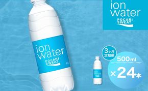 イオンウォーター 定期便 3ヶ月 500ml 24本 大塚製薬 ポカリスエット ポカリ スポーツドリンク イオン飲料 スポーツ トレーニング アウトドア 熱中症対策 健康 3回 