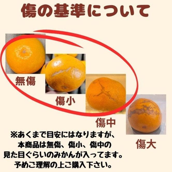 有田みかん 早生S〜Lサイズ混合 約20kg【2026年発送 先行予約】ER05-D2