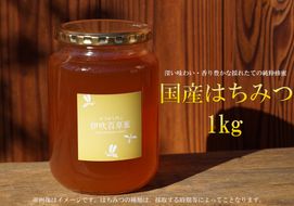 E-28b 国産はちみつ1000g