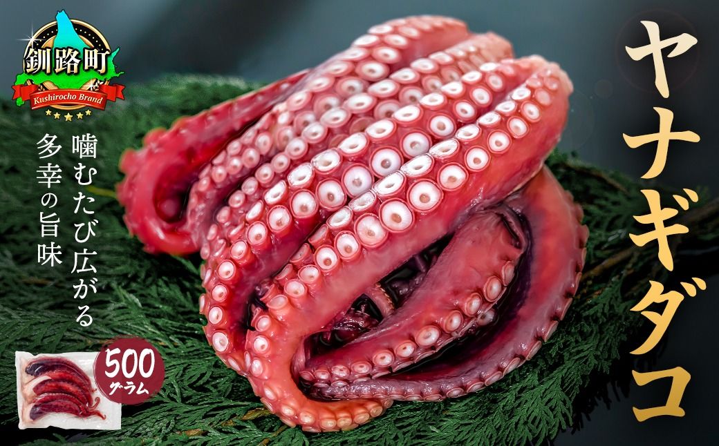 ヤナギダコ500g[産地直送]プリプリ食感!釧路町昆布森産 ヤナギダコ|噛むたびに広がる多幸の旨味 お刺身 鍋 煮物に最適 栄養満点 贈答用 にも最適 漁師直送 鮮度抜群 蛸 タコ たこ 足 刺身 たこやき たこ唐揚げ 冷凍 北海道 釧路町 釧路超 特産品 121-1260-35