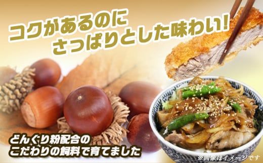 「どんぐりの恵み豚」真空バラエティ3kgセット_17-1101_(都城市) 銘柄豚肉 どんぐりの恵み ロースステーキ バラ焼肉 肩ローススライス モモ ウデ切落とし 200g 300g
