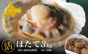 オホーツク産 『活』 ほたて 3kg（16～22枚） SRMN001