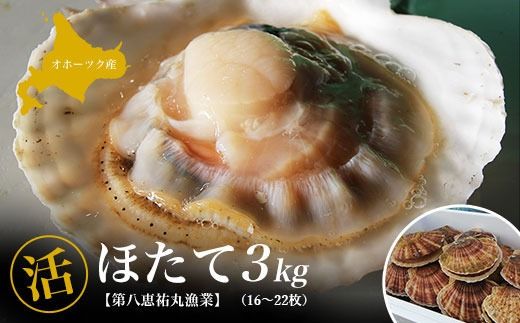 オホーツク産 『活』 ほたて 3kg（16～22枚） SRMN001