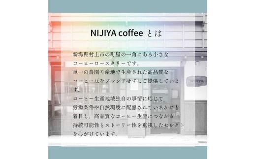 【定期便：6ヶ月連続でお届け】シングルオリジンコーヒー100g × 3品種（豆）計300g×6ヶ月 1075025 コーヒー 珈琲 コーヒー豆