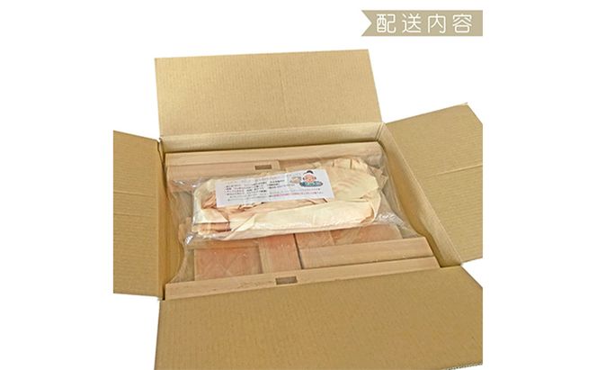 手作りキット ミニ背付きイス 安心の国産ひのき 木製 いす 椅子 ※沖縄・離島への配送不可