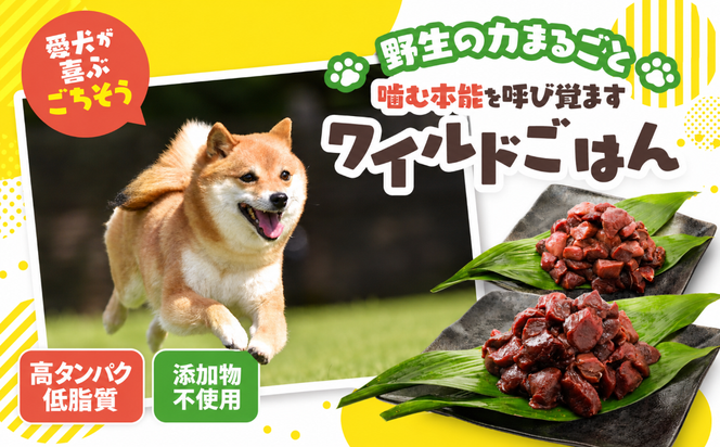 【愛犬用】カット猪肉（ぶつ切り）1kg（250g×4P）＜ペット ペットフード 犬 ワンちゃん個包装 餌 毎日 ジビエ 犬用 おやつ 猪肉 愛媛県産 鬼北町 ドッグフード 冷凍殺菌 特定非営利活動法人Cambio＞
