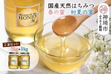 【春の蜜 & 初夏の蜜セット】2024年産 国産天然蜂蜜 春の蜜1kg & 初夏の蜜1kg【合計2kg】【蜂蜜 パンケーキ ヨーグルト 甘み フルーティ とろとろ】(H049121)