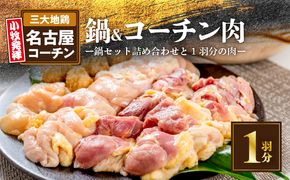 名古屋コーチン鍋セット＆名古屋コーチン1羽分セット 日本三大地鶏 鍋セット 鶏肉 もも肉 むね肉 ササミ 肉団子 鍋料理[001T01]
