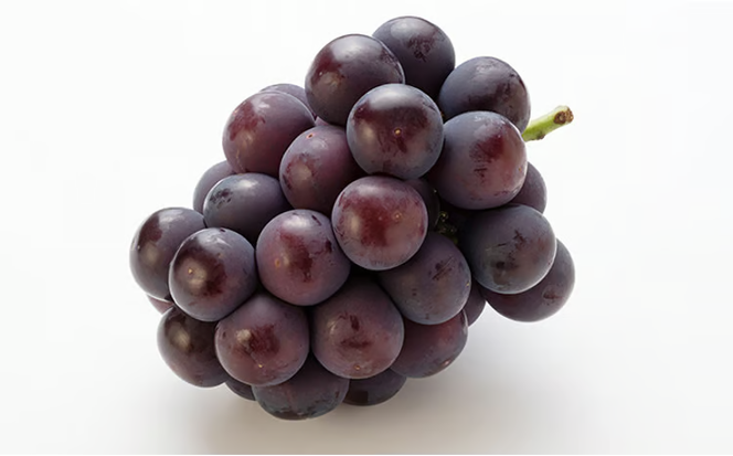 ぶどう 2026年 先行予約 ニュー ピオーネ 2房（1房480g以上） ブドウ 葡萄 岡山県産 国産 フルーツ 果物 ギフト ニューピオーネ 化粧箱 贈答品