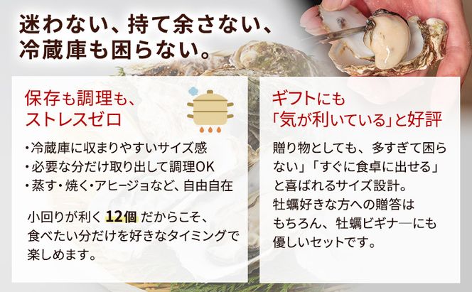【 3ヵ月 定期便 】 北海道厚岸産 生食用 殻付カキ 3Lサイズ  12個　マルえもん 魚貝類 海の幸 海のミルク 海鮮 国産 北海道産 オイスター つまみ お酒 あて 肴 生牡蠣 メルマガ掲載商品1