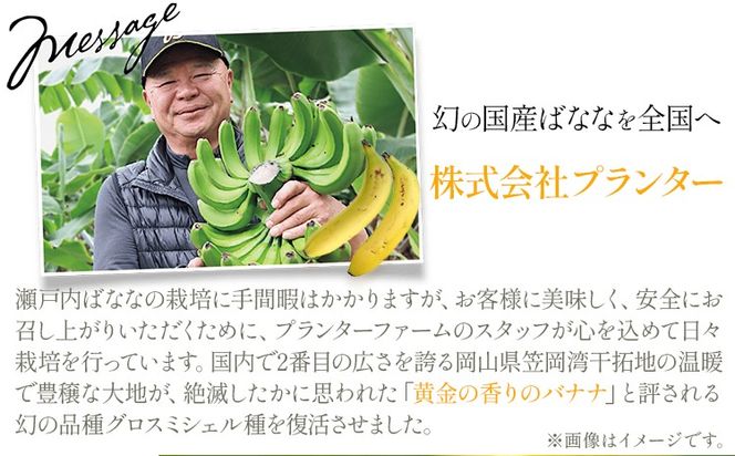 MUSA 体おもいのデザート スプレッド 2個 株式会社プランター 《30日以内に出荷予定(土日祝除く)》 麴 抹茶 カカオ バナナ お菓子 パン---P-01-PP---