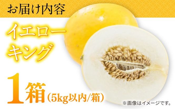 【2026年5月〜発送】メロン イエローキング 1箱 5kg以内 （3～6玉）/ メロン めろん フルーツ 果物 / 南島原市 / 南島原果物屋[SCV039]