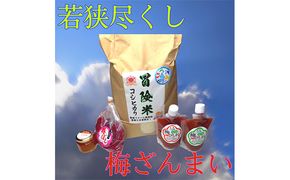 若狭尽くし、梅ざんまい　目白大学の学生が考案、その13 お米 コシヒカリ ジャム 加工食品 