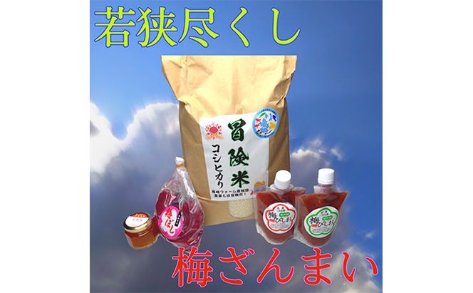 若狭尽くし、梅ざんまい　目白大学の学生が考案、その13 お米 コシヒカリ ジャム 加工食品 