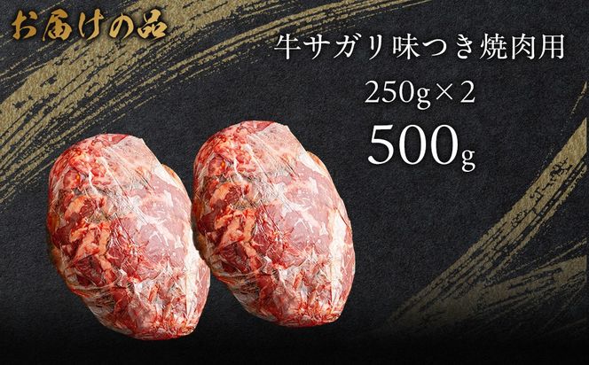 牛サガリ味つき焼肉用 500g (250g×2)  MROBM024