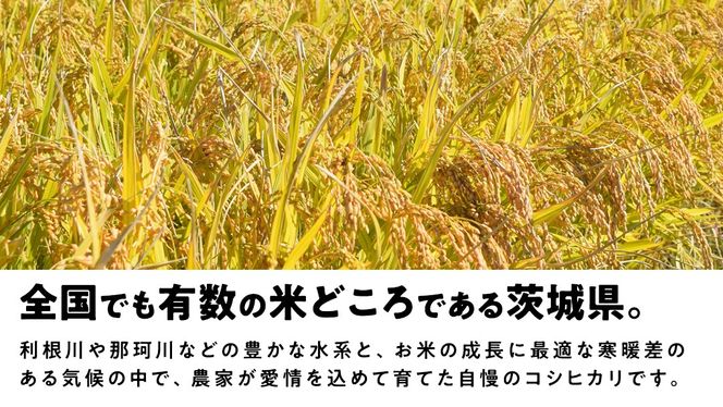 【最短2営業日出荷】 コシヒカリ 玄米 30kg 茨城県 つくばみらい市産スピード発送 お米 米 おこめ こめ コメ 30キロ こしひかり 令和7年産 大容量 玄米食 低GI