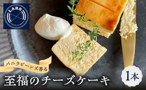 【J02007】バニラビーンズ香る至福のチーズケーキ