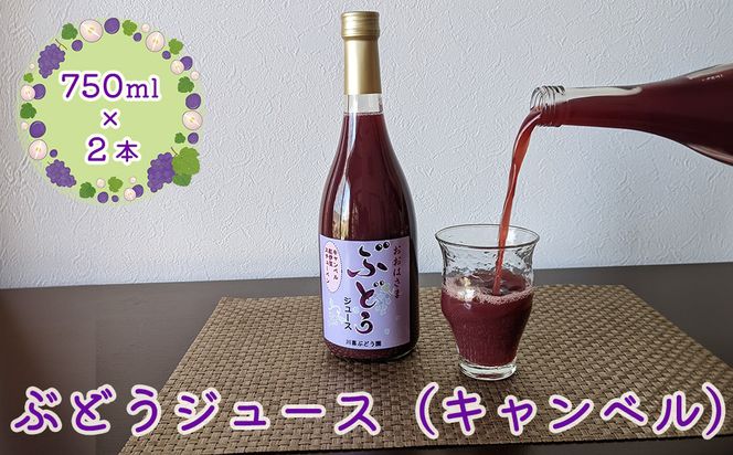 ぶどうジュース （キャンベル） 750ml×2本 【2490】