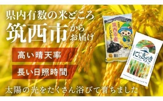 スピード発送!! （最短2日～7日程度で発送） 【選べる 品種 ＆ 内容量 ＆ お届け回数】茨城県 筑西市産 米 5kg 10kg 定期便 令和7年産 新米 三ツ星 マイスター お米 コメ こしひかり にじのきらめき 単一米 精米 スピード配送 [CH004ci]