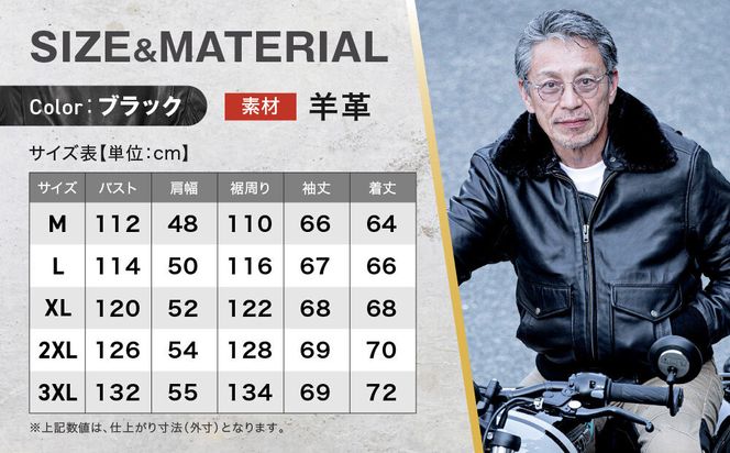 【デグナー】シープレザーフライトジャケット[25WJ-4] XLサイズ｜京都 バイクギア 人気ブランド ジャケット バイク［ ヴィンテージシリーズ 疲れにくい ワッペン 羊革 シープレザー プロテクター 安全性 柔らかい フィット感 ツーリング ライダー バイカー おしゃれ かっこいい 人気 おすすめ 送料無料 ふるさと納税 ］ 261009_A-JR191VC03