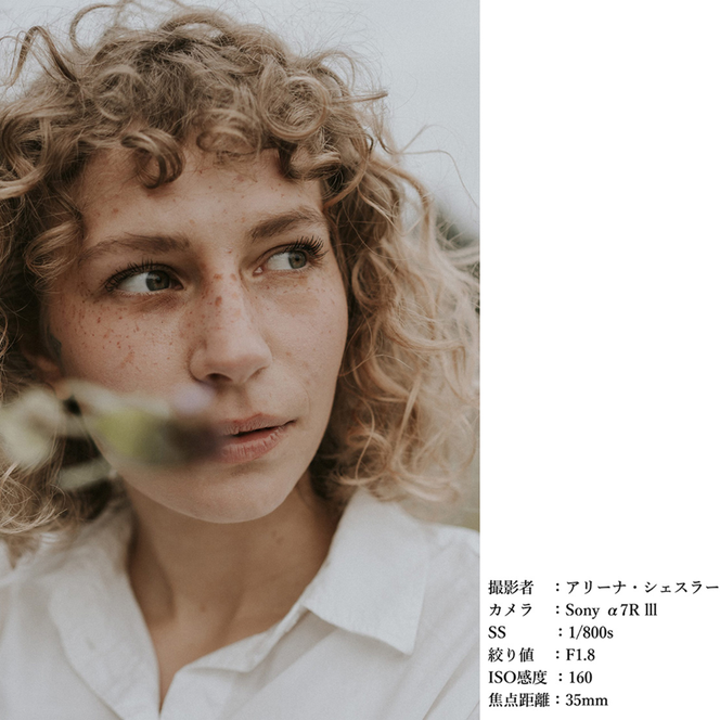 SIGMA 35mm F1.4 DG DN | Art【ソニーEマウント】カメラ　レンズ