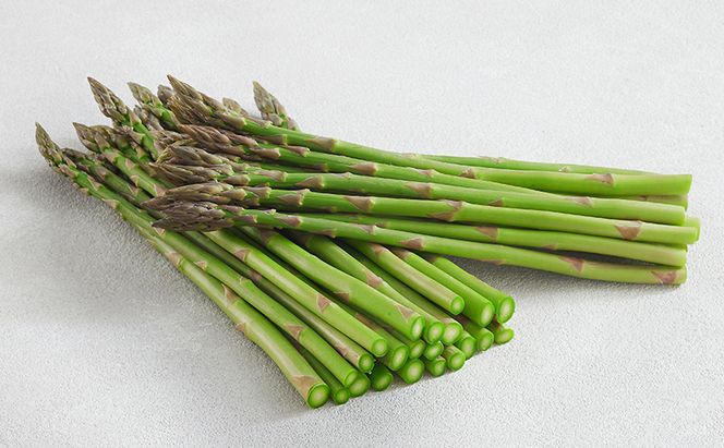 【2027年春発送】富良野産 アスパラ 約1kg 細め (サイズ混合) 中山農園 アスパラガス 野菜
