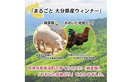 おおいた冠地どり 「ウインナー」 300g/10本入_2484R