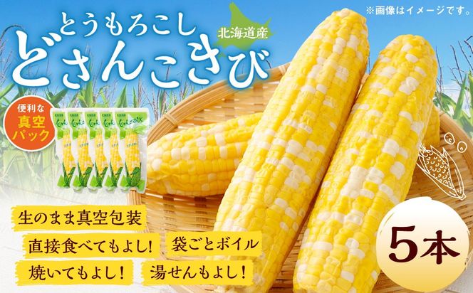 北海道産 とうもろこし 5本 どさんこきび 