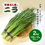 【先行予約】【11月から発送】肉厚・シャキシャキ! 朝採れ鮮度抜群! 布施さん家のニラ 2kg(100g×10束×2セット) SMBY002