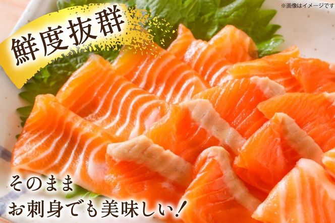 訳あり サーモン 尾っぽ柵 おさしみ用 総重量1.5kg 無添加 [足利本店 宮城県 気仙沼市 20565605] 尾っぽ 柵 魚介類 海鮮 さけ 魚 刺身 お刺し身 刺し身 生食用 サケ シャケ 鮭 個包装 真空包装 チリ銀鮭 銀鮭 海鮮丼 魚介 冷凍 鮮魚 個包装 小分け