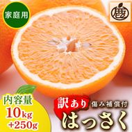 ＜1月より発送＞家庭用 はっさく10kg+250g（傷み補償分） ｜ 八朔みかん わけあり 訳あり ワケアリ ◇