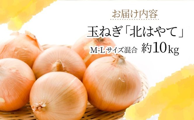 【 2026年 発送 】 先行予約 北海道 玉ねぎ 10kg M-L混合 北はやて タマネギ たまねぎ 玉葱 玉ネギ オニオン 伊達野菜  野菜 新鮮 採れたて 産地直送 サラダ マリネ 肉じゃが オニオンスープ 木須農園 送料無料