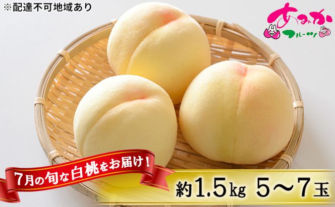 桃 2026年 先行予約 7月の旬な 白桃 をお届け！約1.5kg 5～7玉 もも モモ 岡山県 赤磐市産 国産 フルーツ 果物 ギフト あみかフルーツ 岡山の桃 旬のフルーツ 柔らかい ジューシー 産地直送 旬の桃 